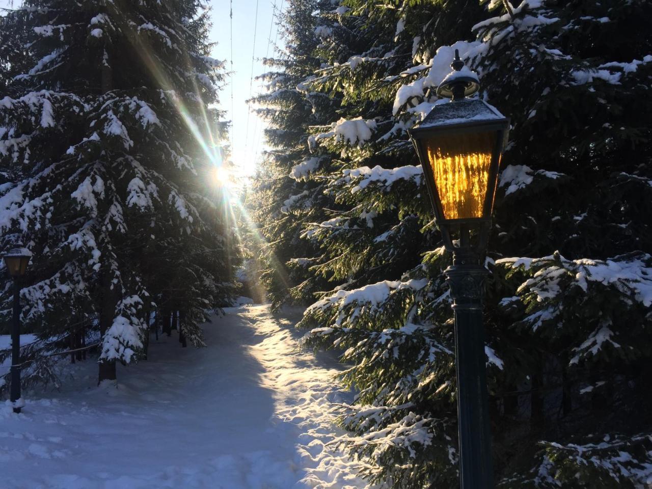 Лісовий Маєток Slavske Exterior foto